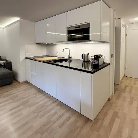 Ribi Lejlighed Grindelwald